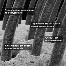 Маска Hillary Serenoa & РР Hair Loss Control проти випадіння волосся 200 мл - мініатюра 10