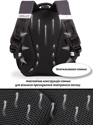 Ортопедичний шкільний рюкзак 6 в 1 для дівчинки School Standard 38х30х18 см з Тигром для молодших класів (SET 150-49) - мініатюра 9