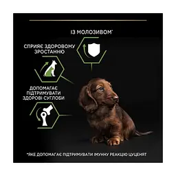 Сухий корм для собак Purina Pro Plan Dog Small&Mini Puppy з куркою і рисом 3 кг (7613035114340) - мініатюра 8