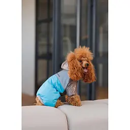 Комбінезон Pet Fashion Сharlie М для собак - мініатюра 4