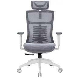 Офісне крісло OfficePro Balance OC620-W-DG-DG (OC620-W-DG-DG)