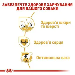 Сухий корм для дорослих собак породи Золотистий ретрівер Royal Canin Golden Retriever Adult, 3 кг (3970030) - мініатюра 6