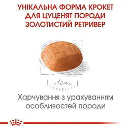 Сухий корм для цуценят породи Золотистий Ретрівер Royal Canin Golden Retriever Puppy, 3 кг (39790301) - мініатюра 3