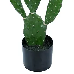 Штучна рослина Engard Cactus 75 cм (TW-41) - мініатюра 4