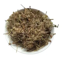 Сідач конопляний Трава Давник Коноплі Собачі Eupatorium cannabinum