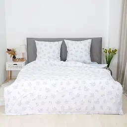 Комплект постільної білизни Isleep євро ранфорс 26027-ev-r