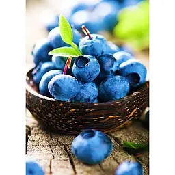 Саджанець Agro-Market Лохина (чорниця садова) Легасі (Legacy) (пізній термін дозрівання, один з найбільш високоврожайних сортів) 1 шт. в упаковці (20758) - мініатюра 3