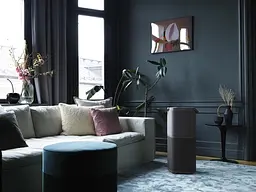 Очищувач повітря Electrolux PA91-604DG - мініатюра 6