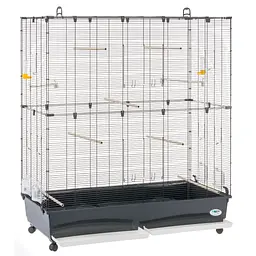 Клітка для птахів Ferplast Planeta Large чорна 111x59x135 см 52066917