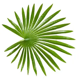 Штучна рослина Engard Fan Palm 120 см (DW-27) - мініатюра 5