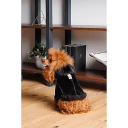 Дублянка для собак Pet Fashion ХS Black  - мініатюра 4