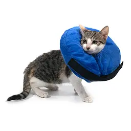 Захисний надувний нашийник для собак Derby Protective Inflatable Dog Cone Collar Blue, XS - мініатюра 4