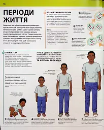 Енциклопедія знань. Тіло людини - мініатюра 13