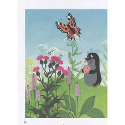 Велика книга Кротик - З. Мілер, Г. Доскочілова, Е. Петішка (120789) - мініатюра 11