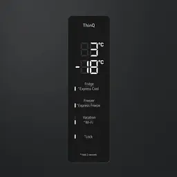 Холодильник LG GW-B509 FXFW - мініатюра 13