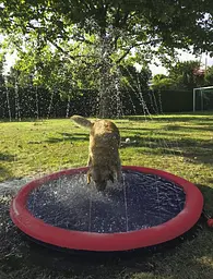 Басейн для собак Nobby Splash Pool M з фонтанчиками червоний Ø 100 см 62295