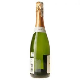 Вино ігристе Flama d'Or Cava Semi Sec біле 11.5% 0.75 л - мініатюра 3