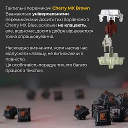 Клавіатура Ducky One 3 TKL Cherry MX Brown Matcha Cream (DKON2187-BUAPXМAEGGC1) UA [126111] - мініатюра 10