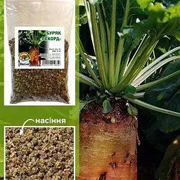 Буряк кормовий "Рекорд" ТМ "Весна" 100г (15681)