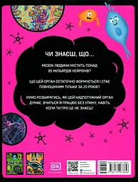 Карколомний мозок. Імпульсивні нейрони, мінливі синапси, хвостаті аксони - мініатюра 2