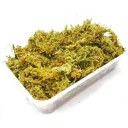 Сфагновий мох Repti-Zoo Sphagnum Moss 100 г (4,5 л) з Чилі для тераріумів і рослин