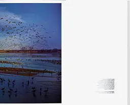 Stephen Wilkes. Day to Night - мініатюра 9