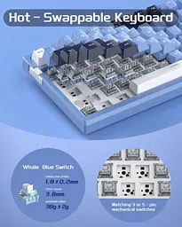 Клавіатура MageGee SKY 81 RGB Blue Whale Switch (6971969727922) Prussian Blue (G-000003953) - мініатюра 12