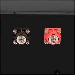 Акумулятор LogicPower LiFePO4 48V [51.2V/160Ah/8192Wh] [BMS 200A/100А] RM Smart BT [24411] [109422] - мініатюра 5