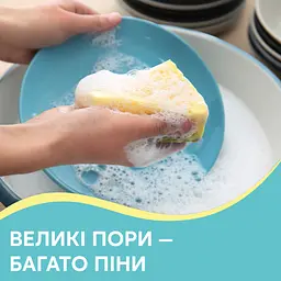 Губки кухонні Pani Blysk Пористі 5 шт. (4823071661194) - мініатюра 4