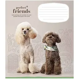 Зошит учнівський Школярик Perfect friends в косу лінію 12 аркушів 30 шт. (012-3250C) - мініатюра 5