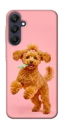 TPU чохол Demsky Happy poodle для Samsung Galaxy A25 5G