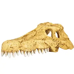 Крокодилячий череп Repti-Zoo Crocodile Skull M ERS34M 18x10x5,5 см - декоративне укриття для тераріуму та акваріуму
