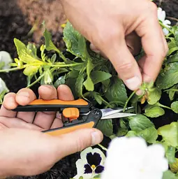 Ножиці для квітів Fiskars Solid ™ Micro-Tip SP13 1051600 - мініатюра 5