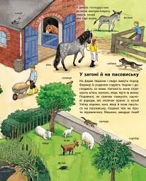 Моя перша мальована енциклопедія. Тварини - Сюзанна Гернхаузер - мініатюра 3