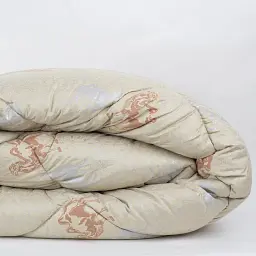Ковдра DREAM CAMEL, 200x210 см (1-03089_00000)