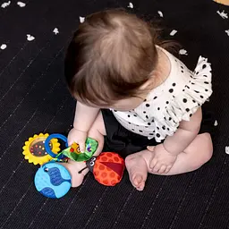 Іграшка-підвіска на коляску Baby Einstein Touch of Nature (16886) - мініатюра 7