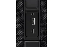 Портативна колонка Defender Union Black (65139) - мініатюра 10