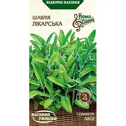 Насіння шавлії лікарської Насіння України 0.2 г (574500)