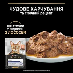 Вологий корм для кішок Purina Pro Plan Adult Indoor Nutrisavour Для кішок, що живуть у приміщенні З лососем 85 г (8445290172990) - мініатюра 3