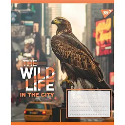 Набір зошитів Yes The wild in the city А5, 24 аркуші 20 шт. (767765) - мініатюра 3