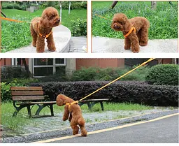 Світлодіодна шлея для собак, що працює від батарейок (не входять в комплект) Small Червоний - мініатюра 4