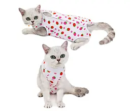 Одяг для котів після операції Longnew Pet Strawberry