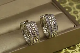 Сережки Xuping Jewelry кільця Парфенон 1.9 см сріблясті