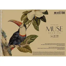 Альбом Muse Drawing на спіралі A4 30 аркушів в асортименті (PB-SC-030-318)