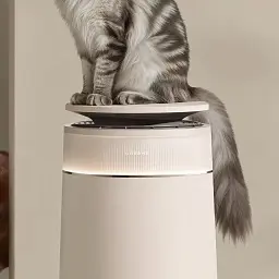 Розумна pet лежанка-ваги для Dreame FP10 (DVS1) - мініатюра 5