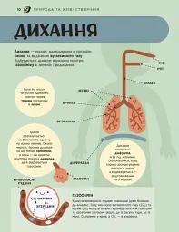 Енциклопедія STEM для дітей: 100 понять майбутнього генія - Дженні Джекобі - мініатюра 11
