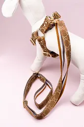 Комплект шлейка + повідець 1.5м в стилі Gucci S (коричневий) - мініатюра 2
