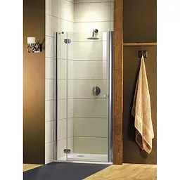 Душові двері Radaway Torrenta DWJ 110 см 31940-01-05N