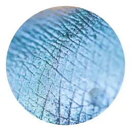 Розсипчасті тіні Sinart Make-Up With Passion тон 28 (Blue Green) 1 г - мініатюра 2