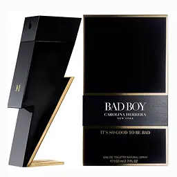 Туалетна вода Bad Boy 100 ml